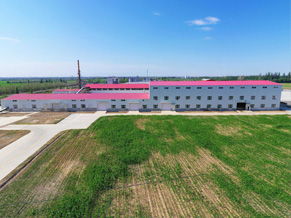 新疆九天禾种业有限责任公司种子加工厂
