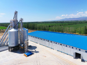 第九师一六七团玉米深加工及仓储基地建设项目