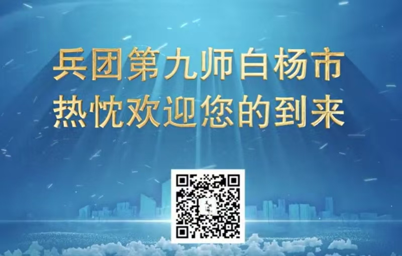 九师白杨市招商引资宣传片